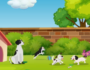 Nevado siempre sonríe historia