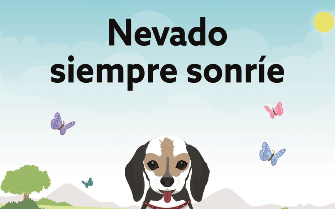 Consejos para escribir y publicar un libro